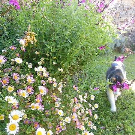 度假居 Les Hauts De Sentelines Gavaudun