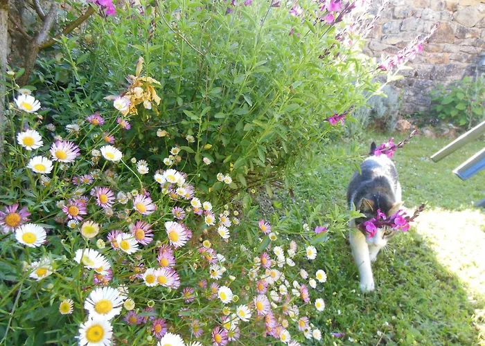 度假居 Les Hauts De Sentelines Gavaudun